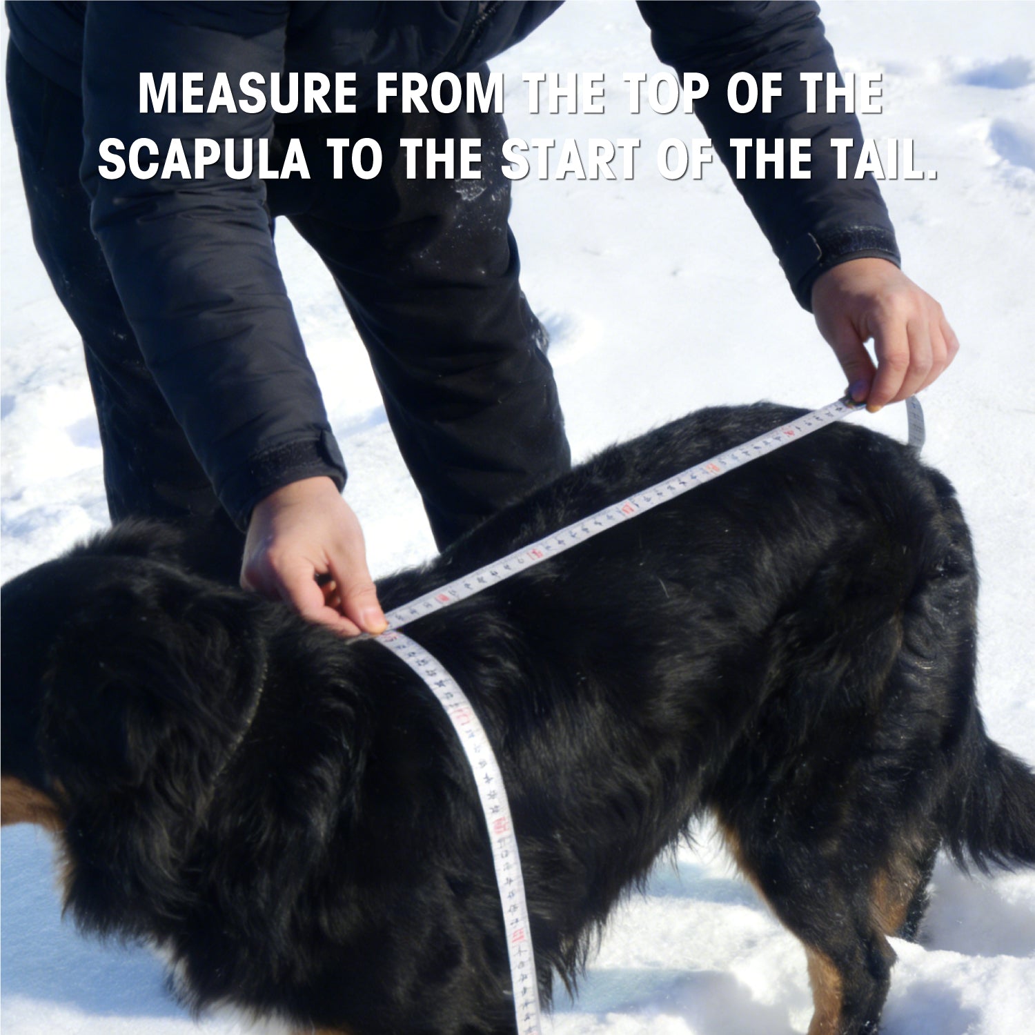 Wasserdicht Hundemantel Wintermantel