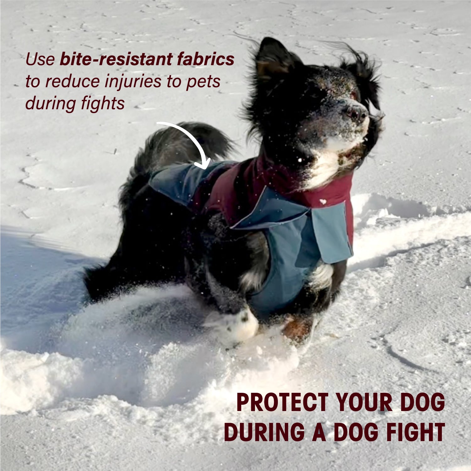 Wasserdicht Hundemantel Wintermantel