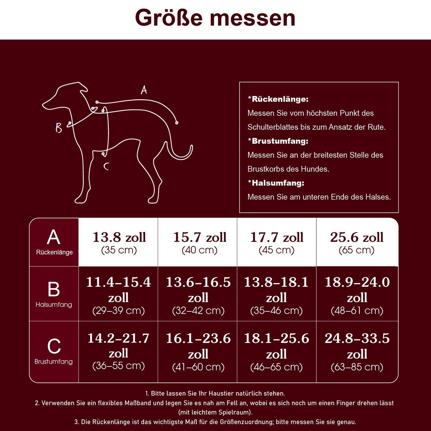 Wasserdichte Winterjacke und Regenmantel für Hunde 2-teiliges Set